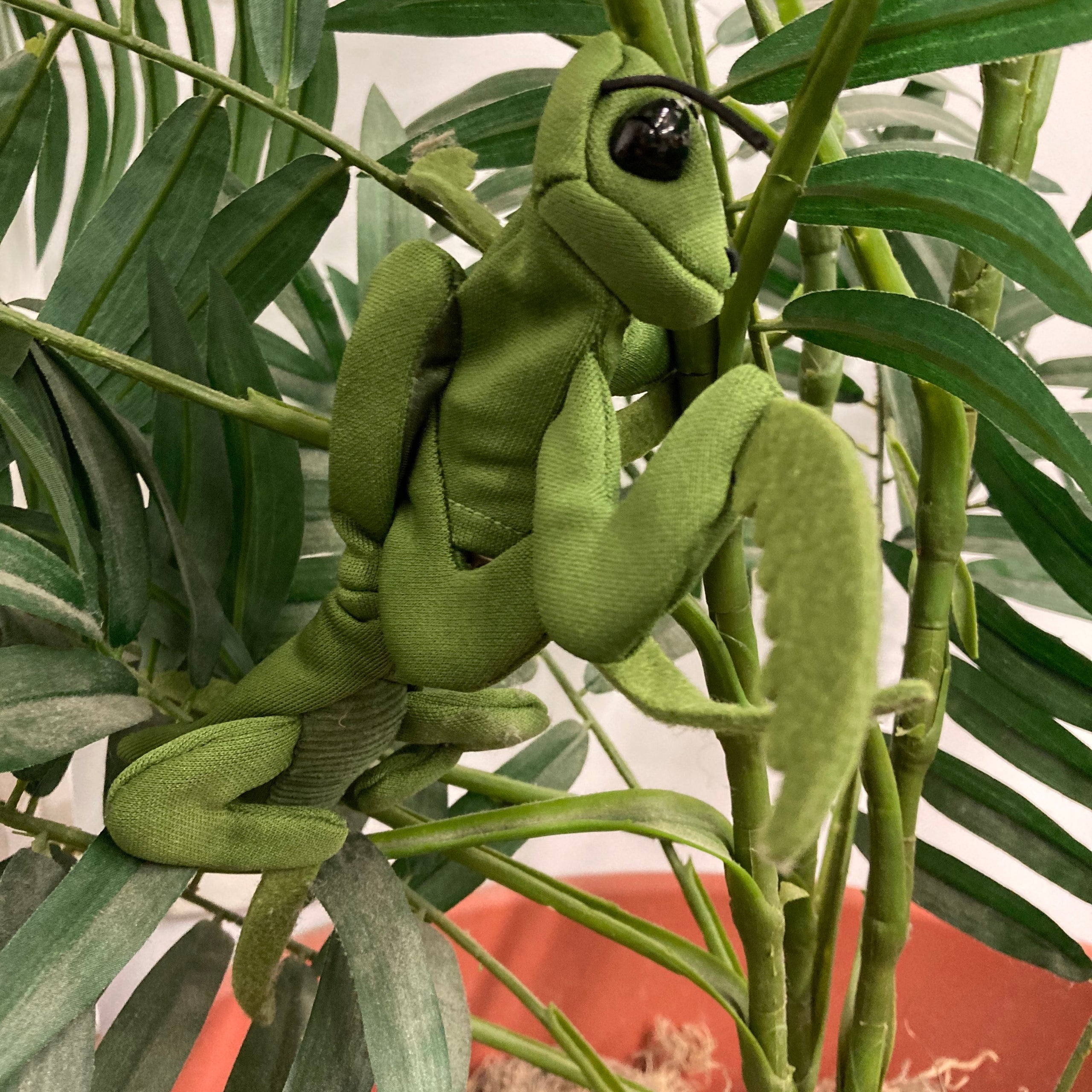 Praying Mantis Finger Puppet City Museum